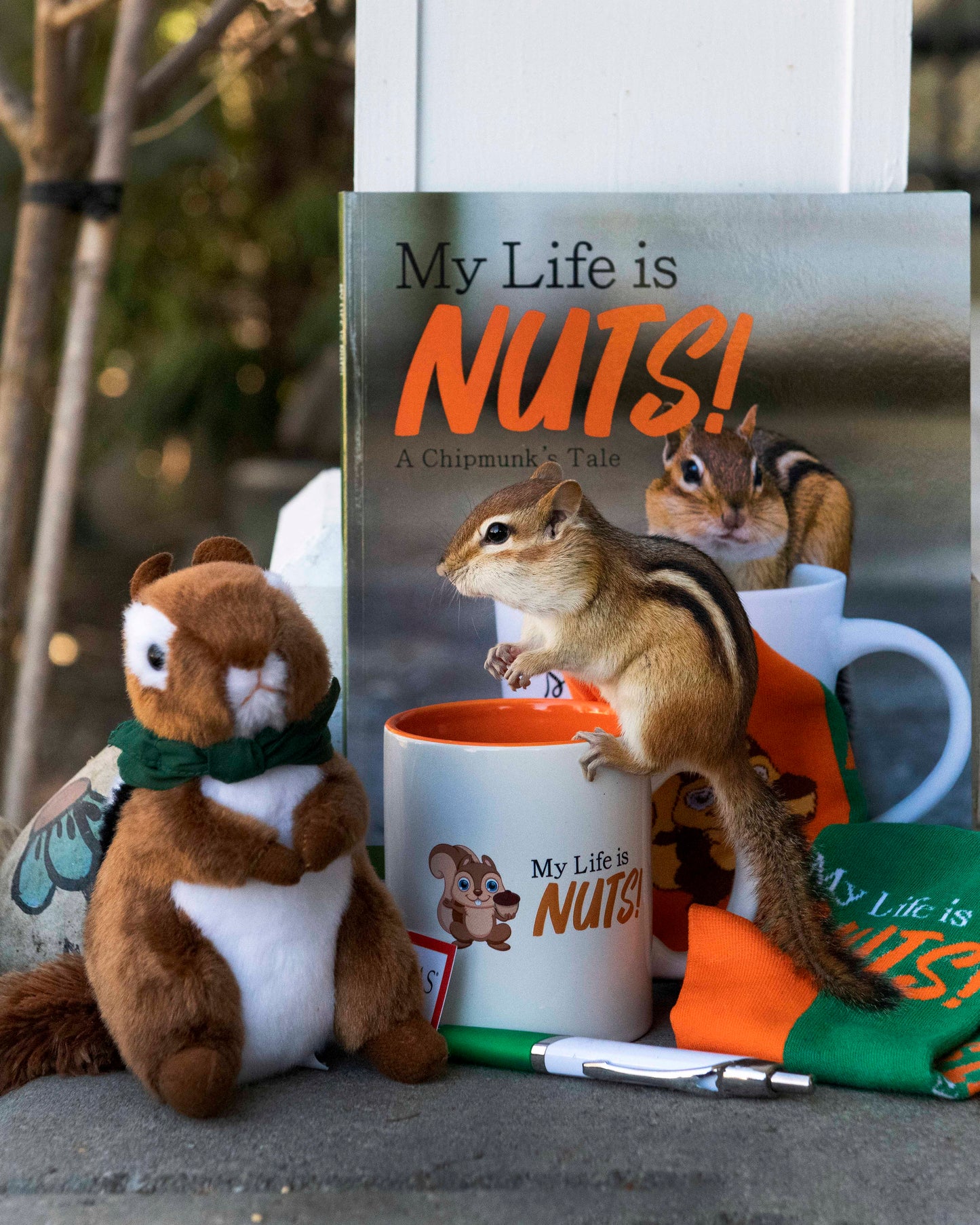 Nutmeg the Chipmunk Green Socks