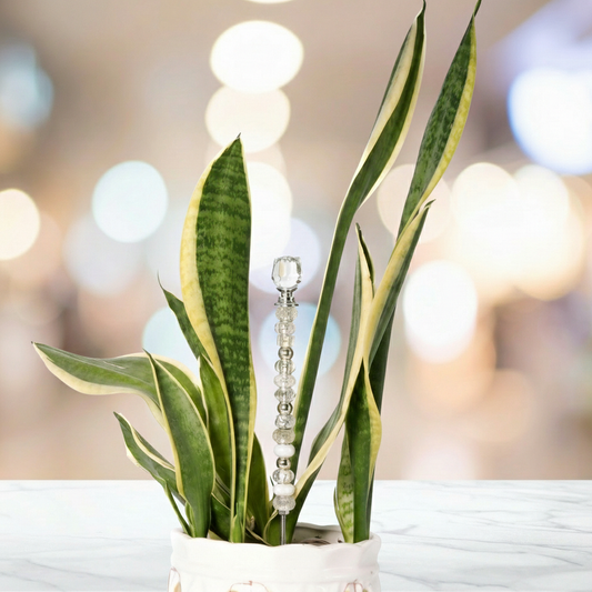 Fairy Garden Suncatcher Stakes | Mini Rose Clear