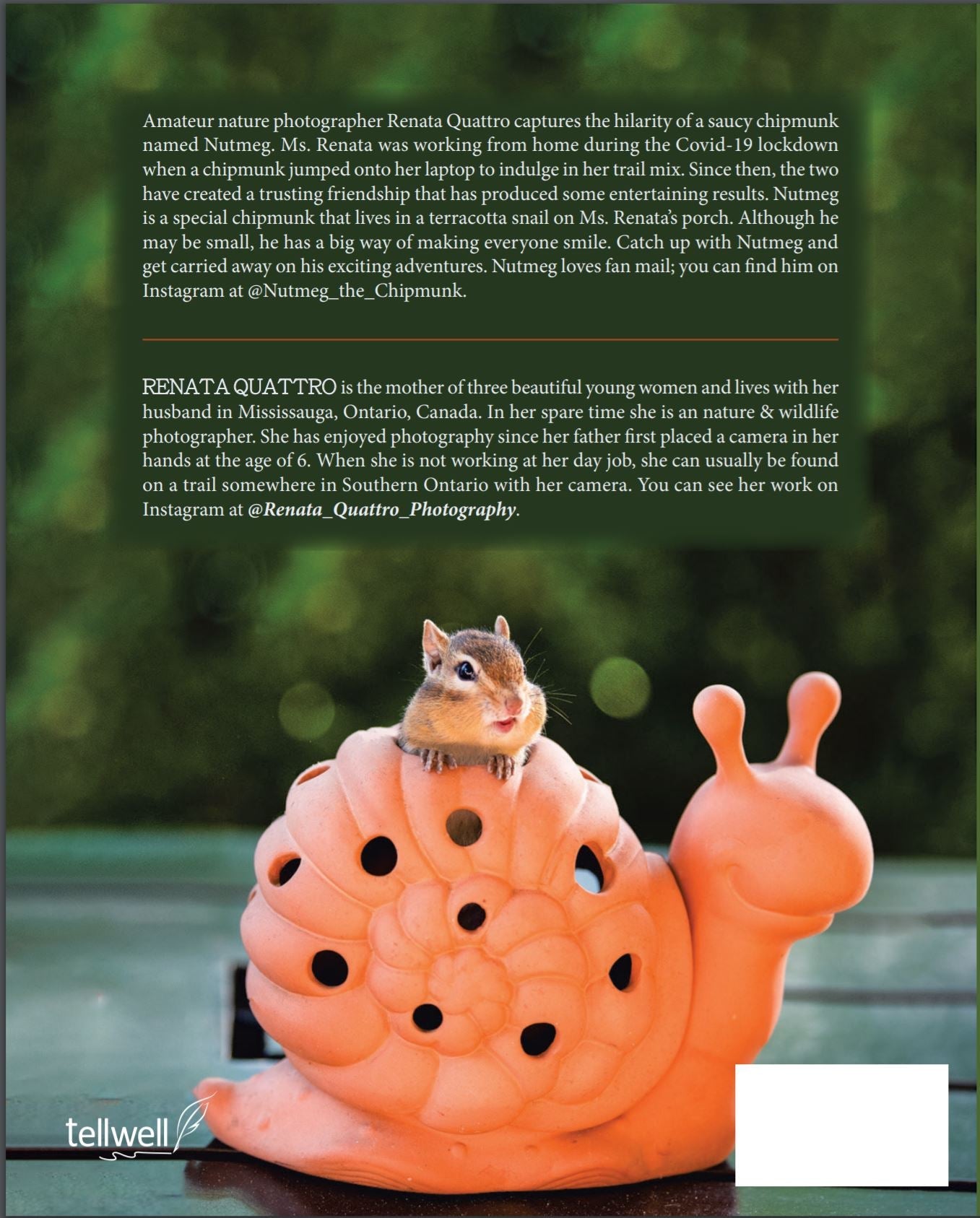 Book: My Life is Nuts! A Chipmunks Tale