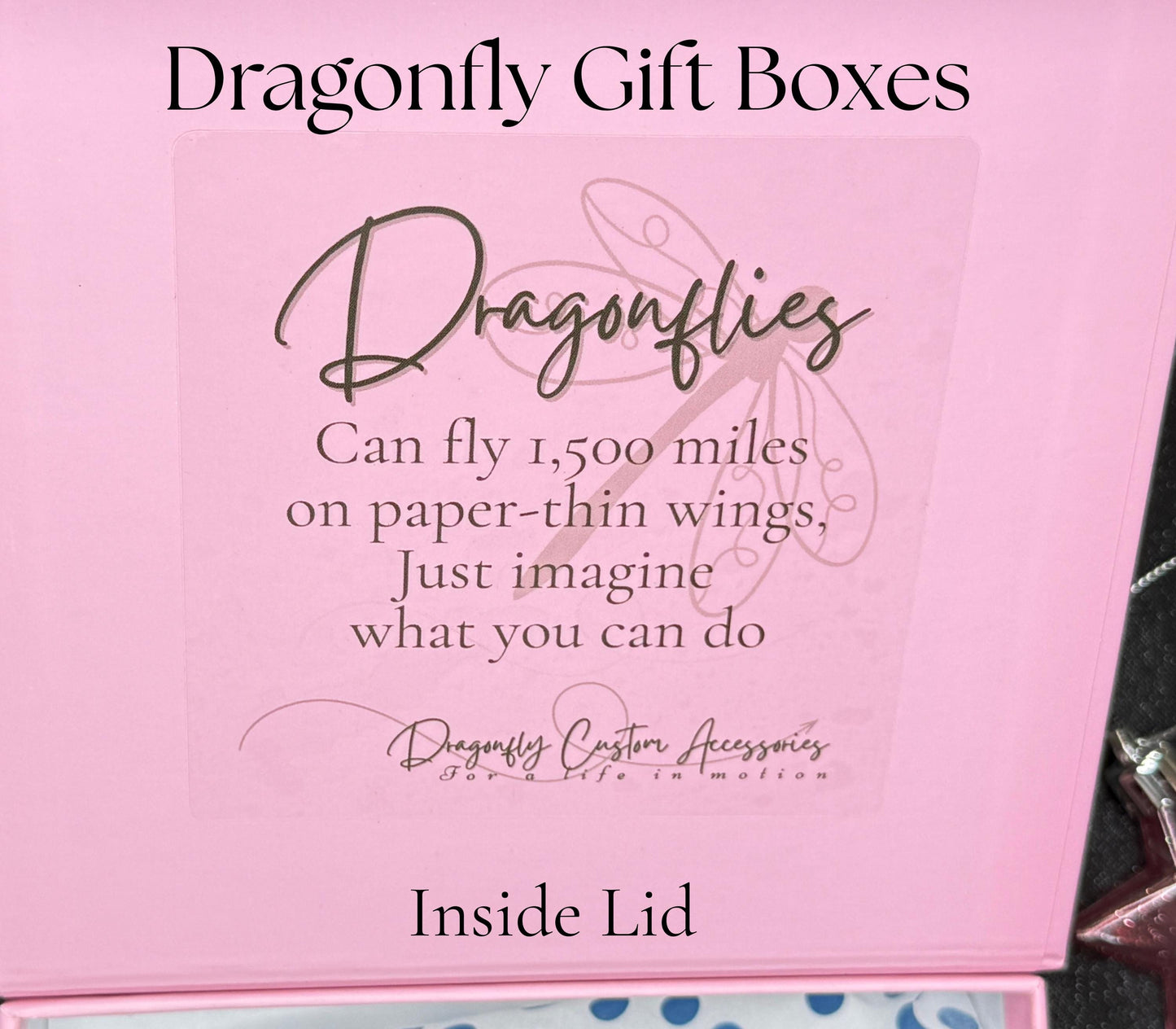 Seven Days of Dragonfly Pink Gift Box | Limited Edition 7 piece Bear Gift Set