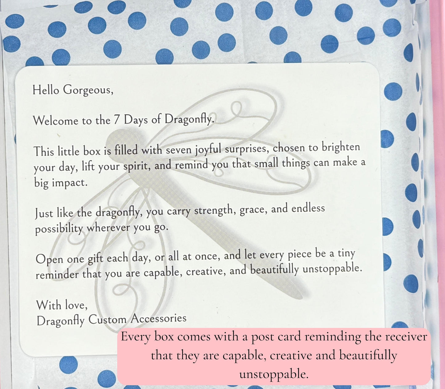 Seven Days of Dragonfly Pink Gift Box | Limited Edition 7 piece Bear Gift Set