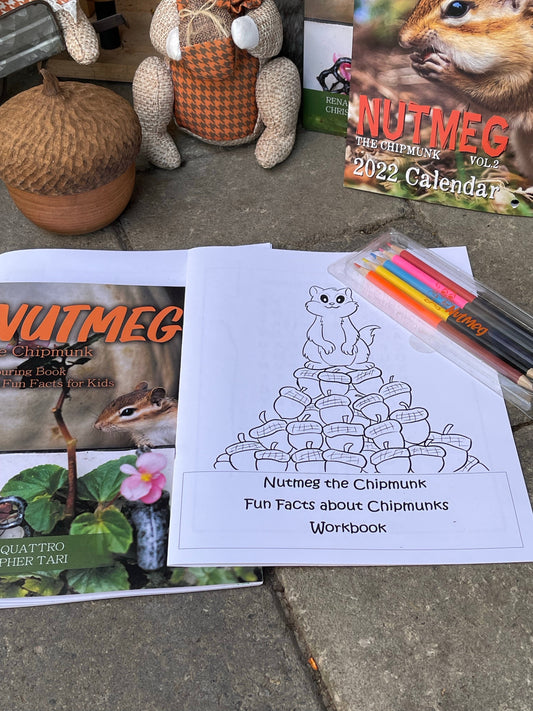 Colouring book, with activity book and pencil crayons bundle